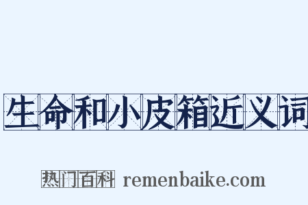 生命和小皮箱近义词是什么意思的图片